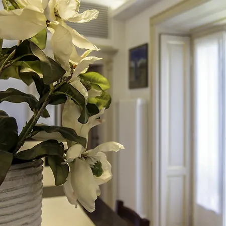 Apartamento Bohemia *